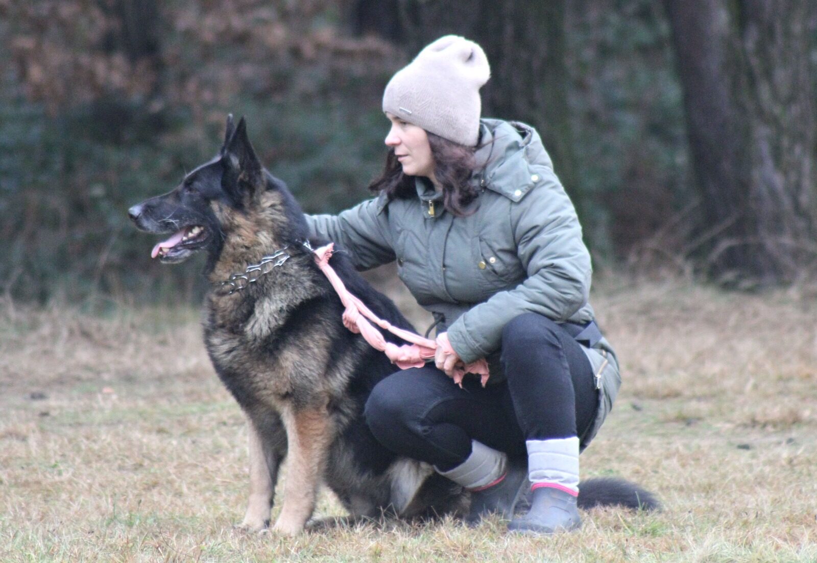 tresura-2_01_2022-13-min